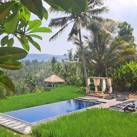 Bali De Pardis Cottage موندوغْ المظهر الخارجي الصورة