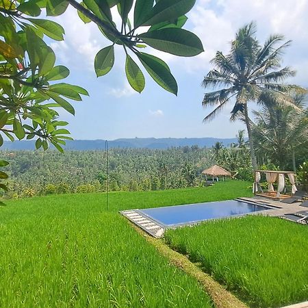 Bali De Pardis Cottage موندوغْ المظهر الخارجي الصورة