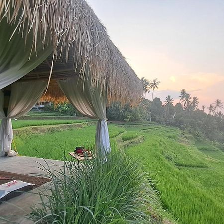 Bali De Pardis Cottage موندوغْ المظهر الخارجي الصورة