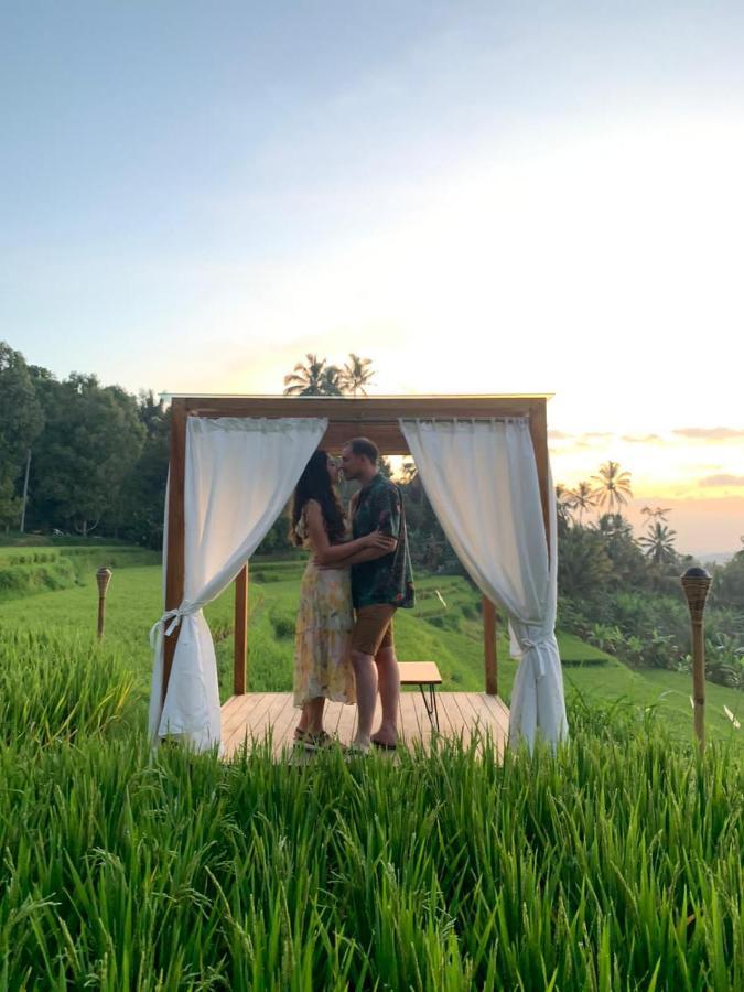 Bali De Pardis Cottage موندوغْ المظهر الخارجي الصورة
