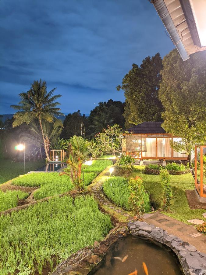 Bali De Pardis Cottage موندوغْ المظهر الخارجي الصورة