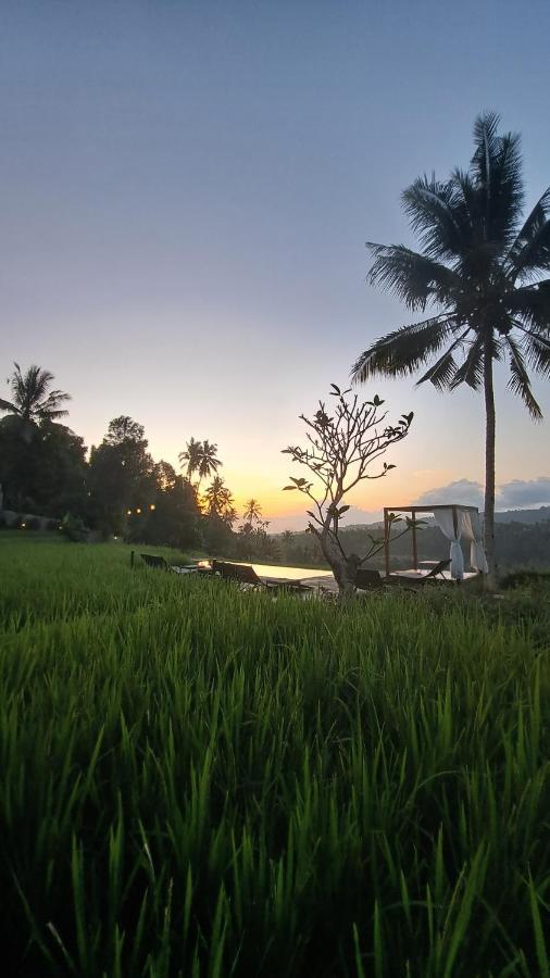 Bali De Pardis Cottage موندوغْ المظهر الخارجي الصورة