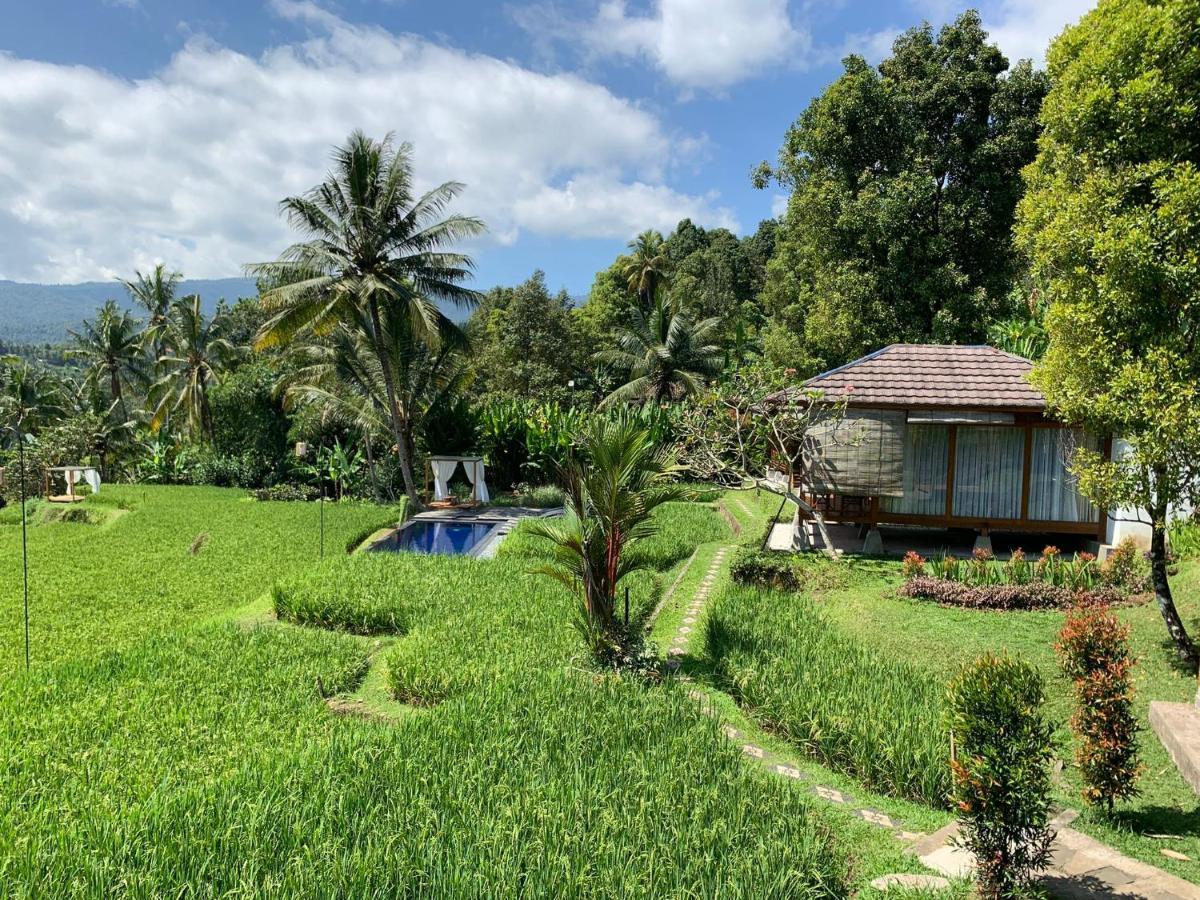 Bali De Pardis Cottage موندوغْ المظهر الخارجي الصورة