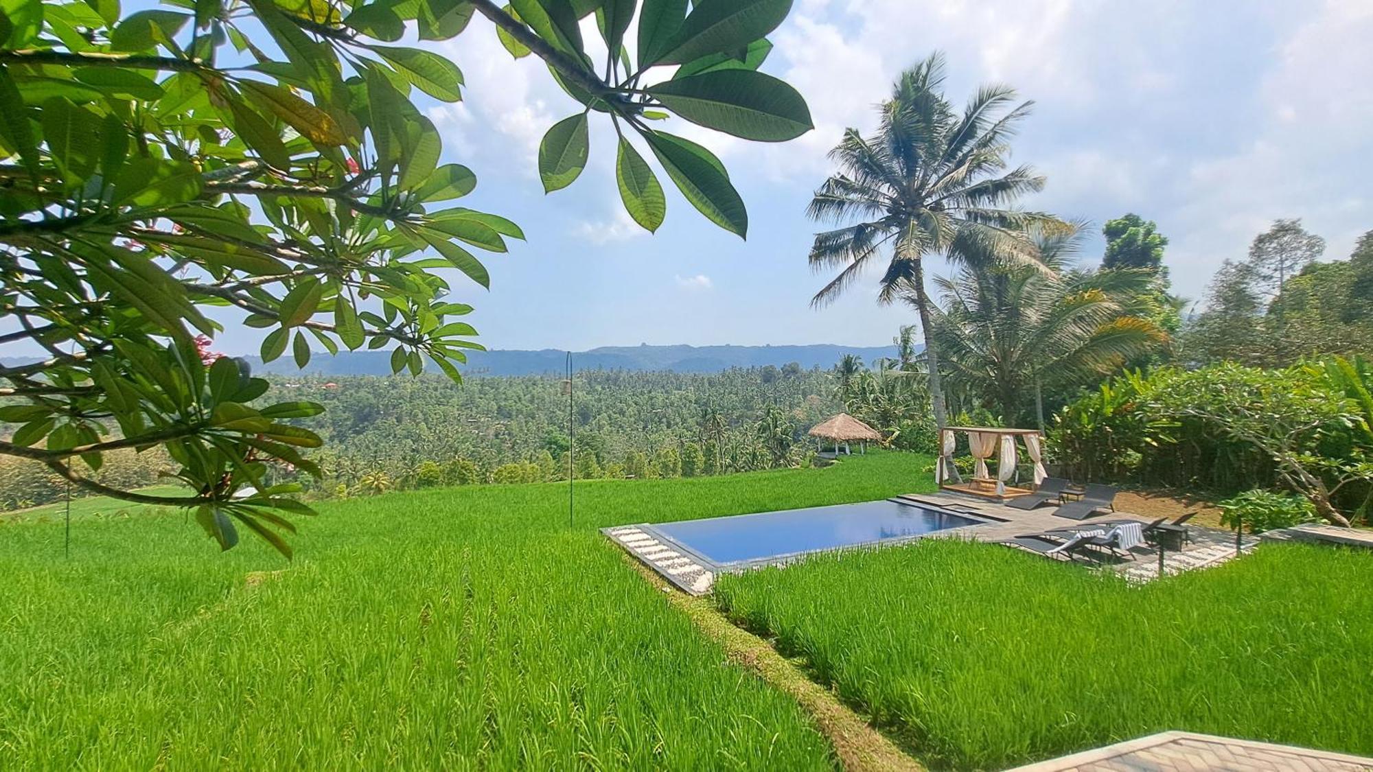 Bali De Pardis Cottage موندوغْ المظهر الخارجي الصورة