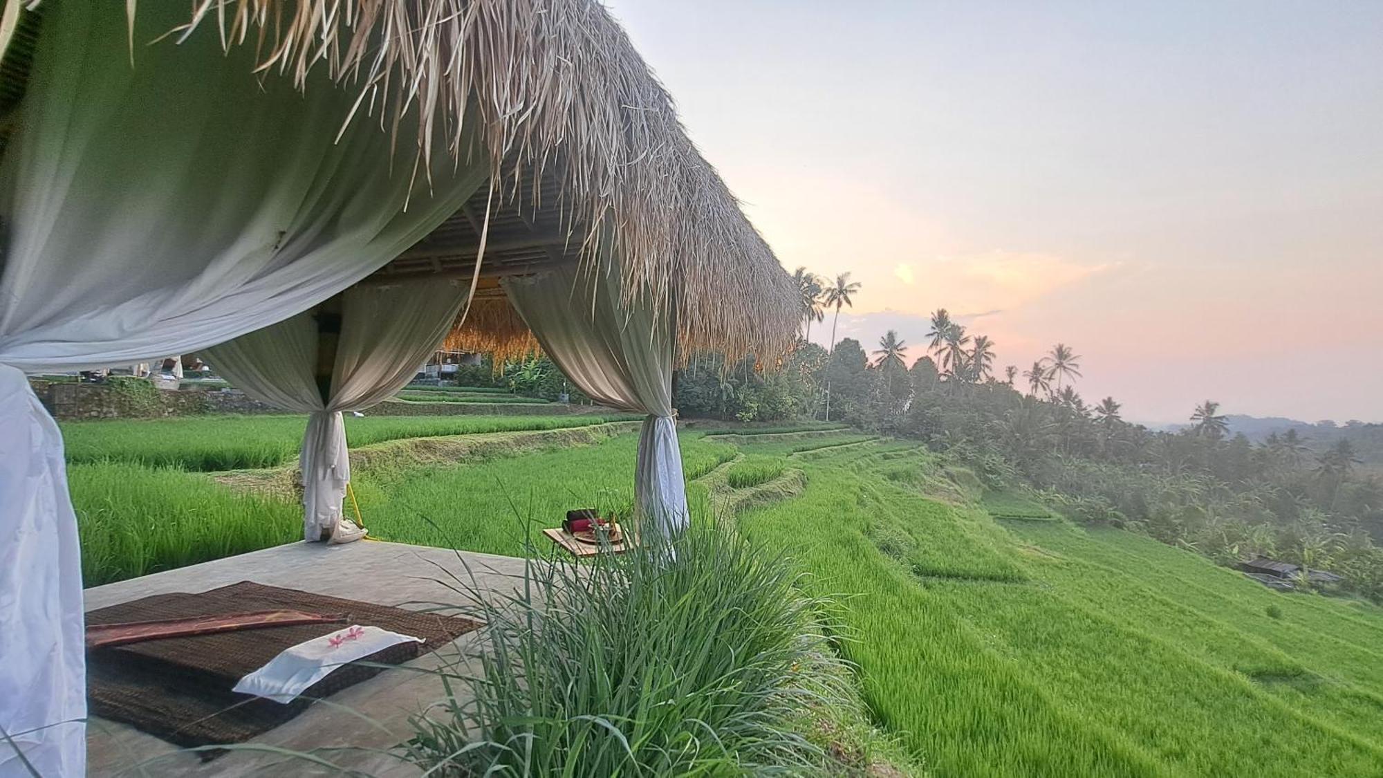 Bali De Pardis Cottage موندوغْ المظهر الخارجي الصورة