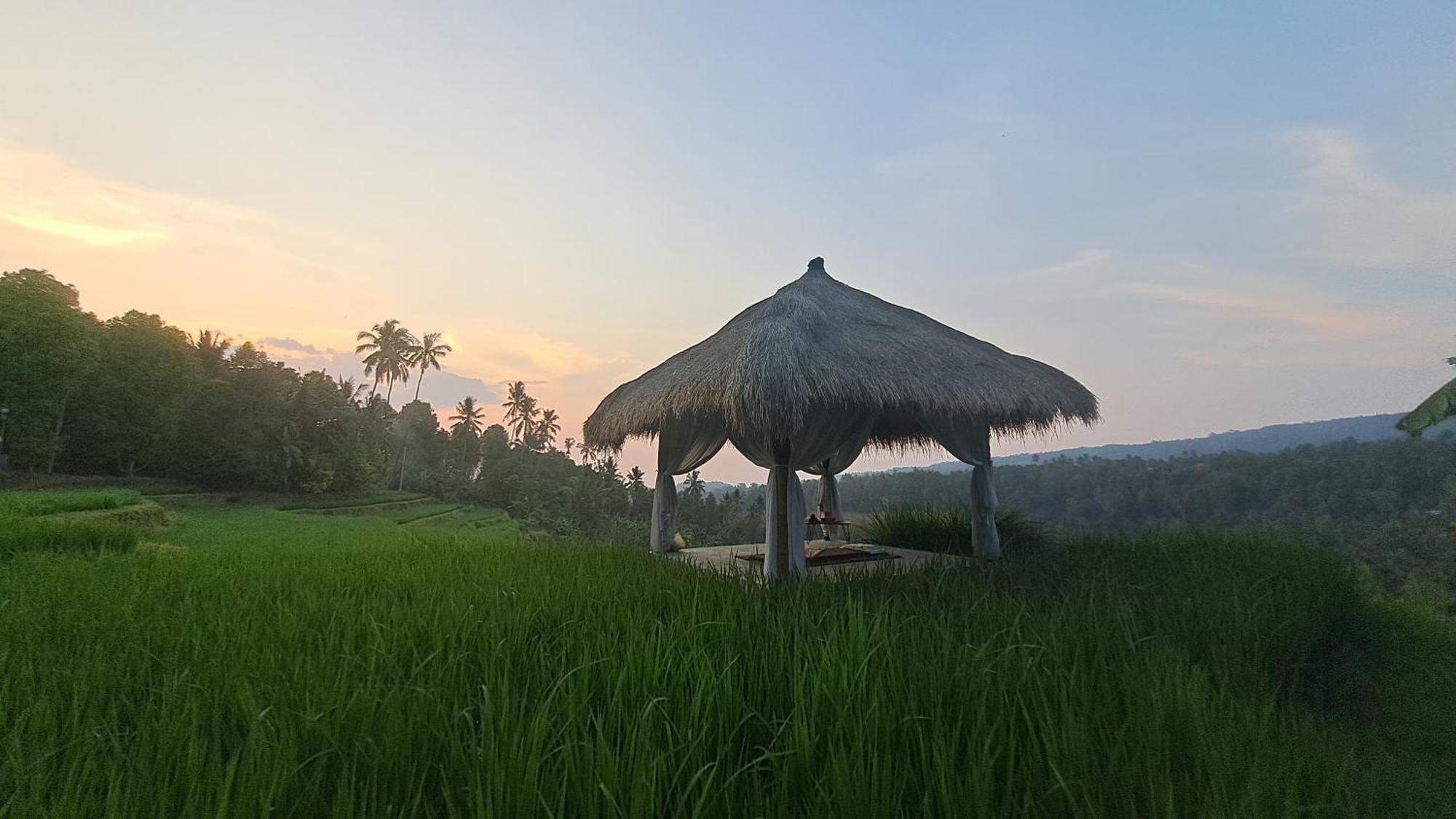 Bali De Pardis Cottage موندوغْ المظهر الخارجي الصورة