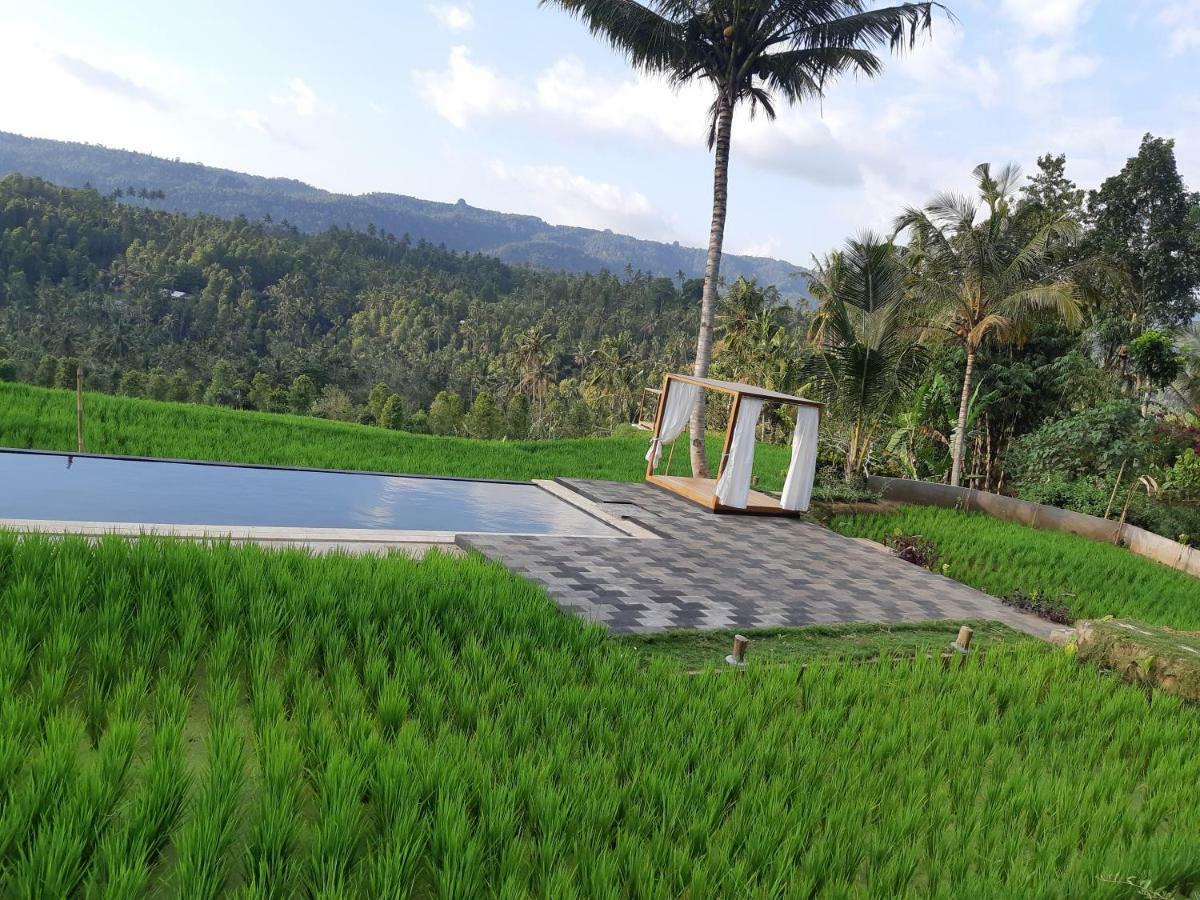Bali De Pardis Cottage موندوغْ المظهر الخارجي الصورة