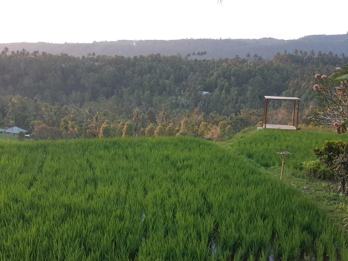Bali De Pardis Cottage موندوغْ المظهر الخارجي الصورة