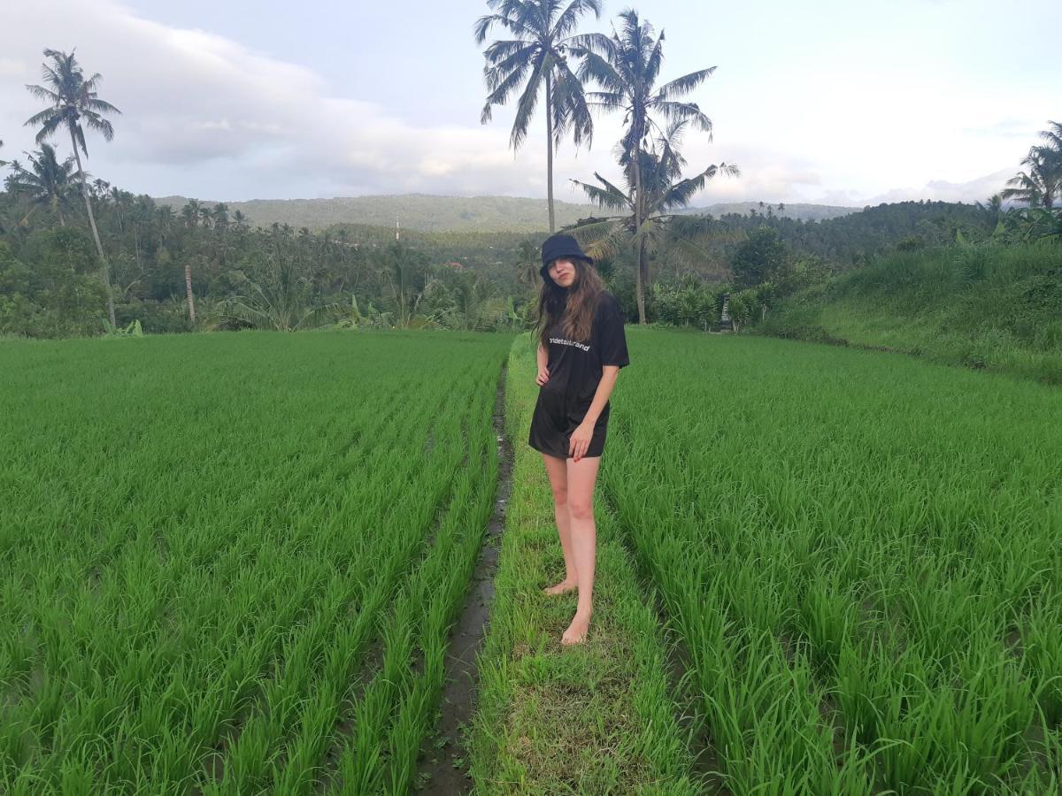 Bali De Pardis Cottage موندوغْ المظهر الخارجي الصورة