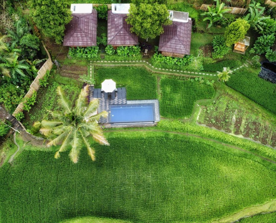 Bali De Pardis Cottage موندوغْ المظهر الخارجي الصورة