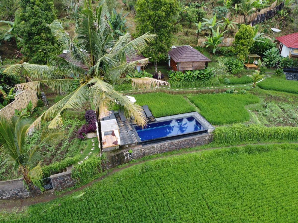 Bali De Pardis Cottage موندوغْ المظهر الخارجي الصورة