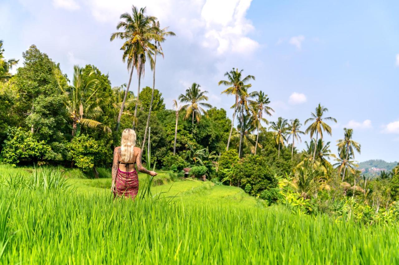 Bali De Pardis Cottage موندوغْ المظهر الخارجي الصورة