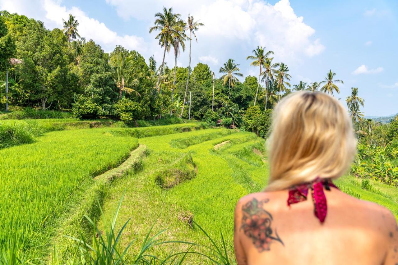Bali De Pardis Cottage موندوغْ المظهر الخارجي الصورة